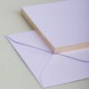 Lavander - Medium - Image 2