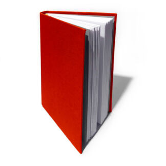 CARNET - SANGUINE